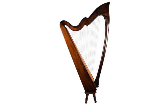Cours de harpe à domicile chez Allegro Musique