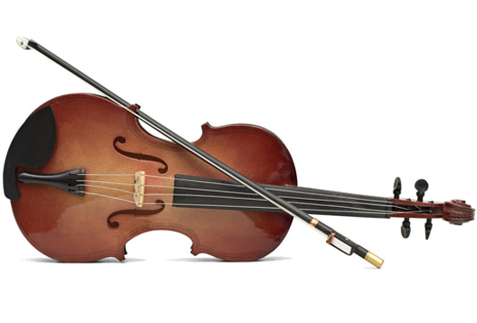 Cours de violon à domicile chez Allegro Musique