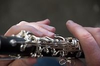 Professeur de clarinette Variété