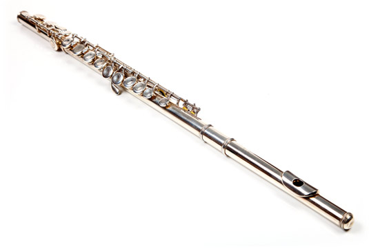Cours d'accordéon à domicile chez Allegro Musique Cours