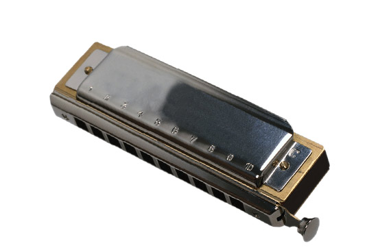 Cours d'harmonica à domicile chez Allegro Musique Cours