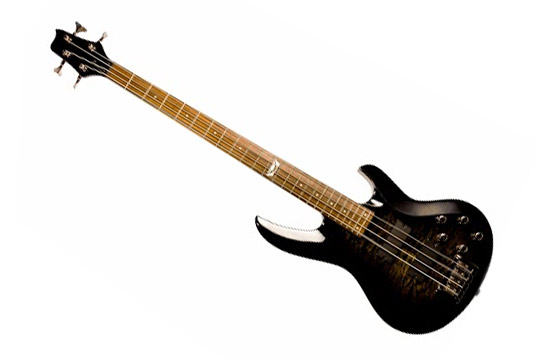 Cours de basse à domicile chez Allegro Musique Cours